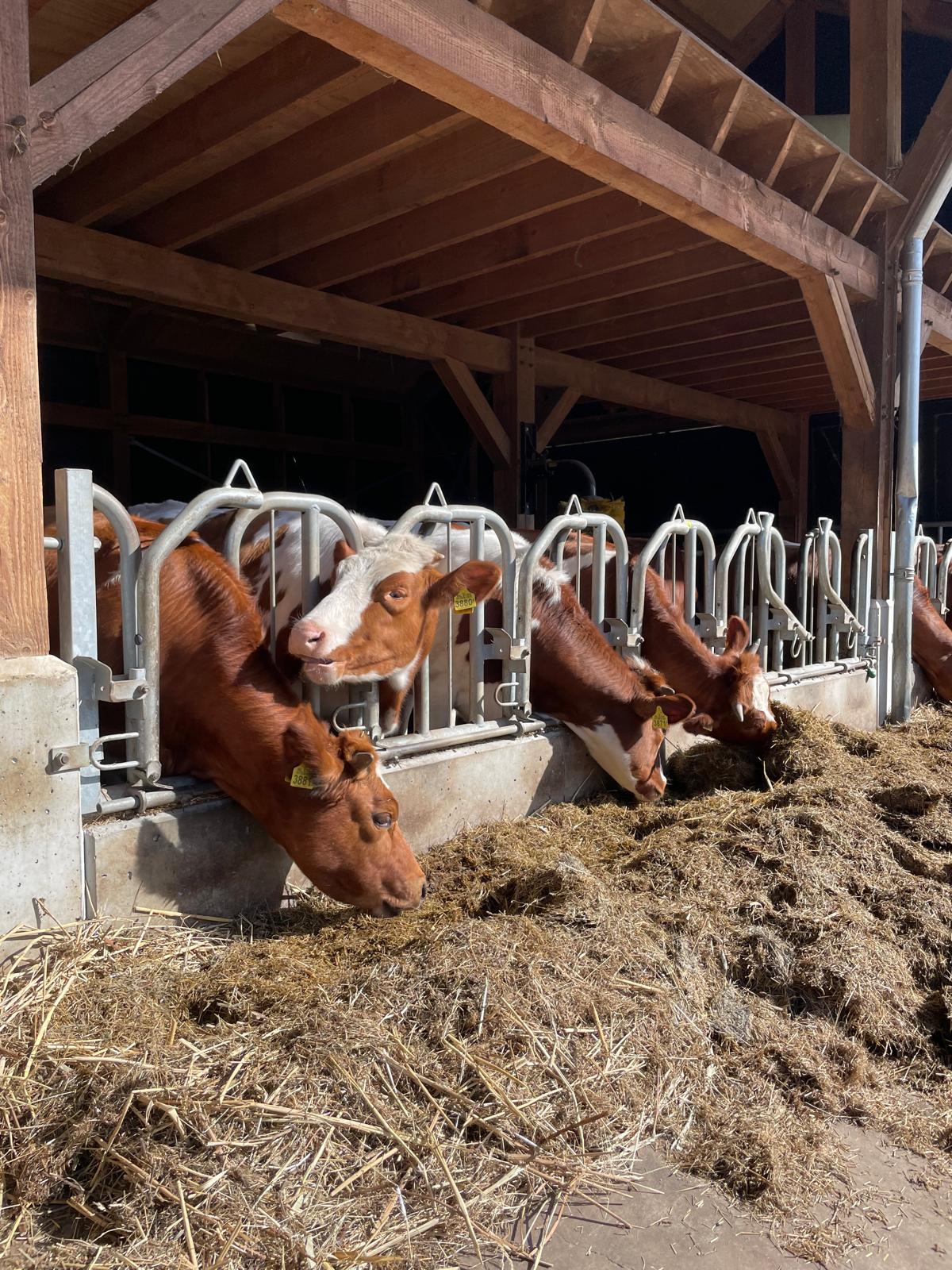Genneper Hoeve